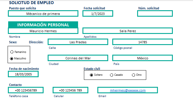 Ejemplo solicitud de empleo word
 p1