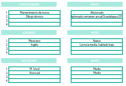 Ejemplo solicitud de empleo excel Capacidades